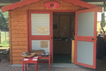 Whispering Spirit Farm Shed
