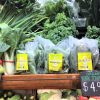 York Town Organics at Eumarrah