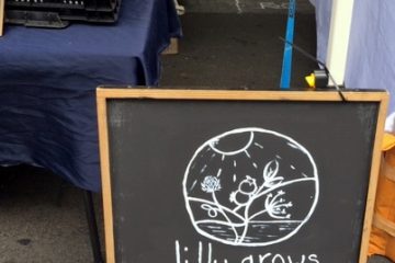 Jilly Grows blueberries