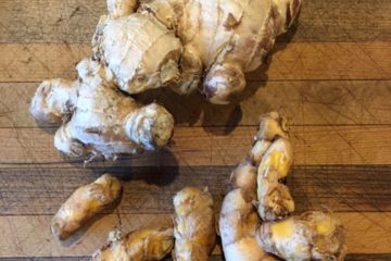 Fresh Ginger and Turmeric