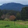 Felds Farm towards Mt Arthur