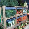 Organic produce at Felds Farm