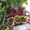 Organic producers